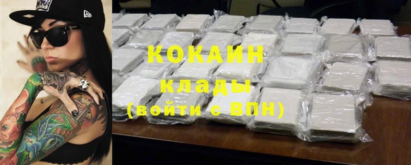 PSILOCYBIN Вяземский