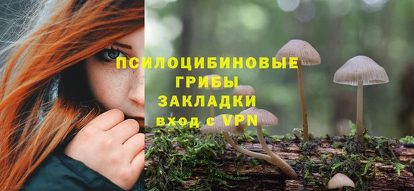 PSILOCYBIN Вяземский