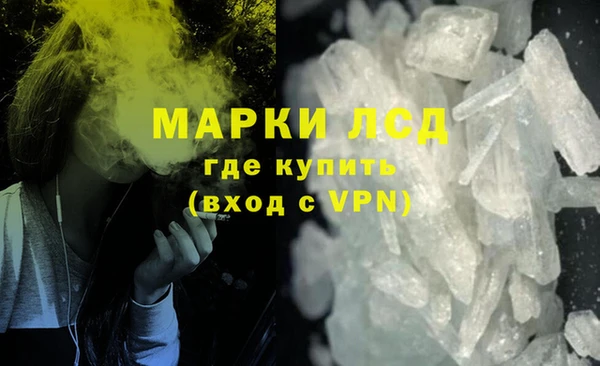 PSILOCYBIN Вяземский
