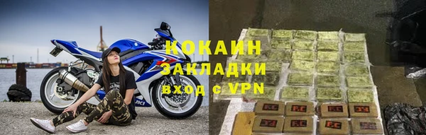 PSILOCYBIN Вяземский